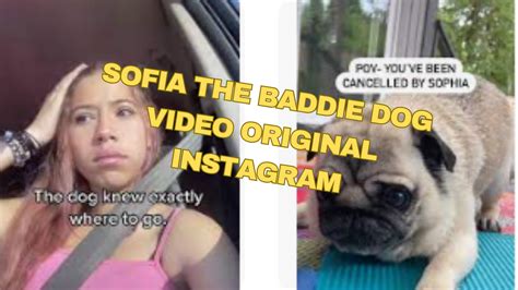 sophia the baddie porn|TikTok Star Sophia The Baddie Dog SexTape Leak Full Video ...